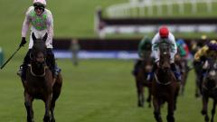 Gaelic Warrior Willie Mullins 